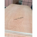 6mm Pencil Cedar Plywood Poplar Core E1 Cola BB / CC Grade